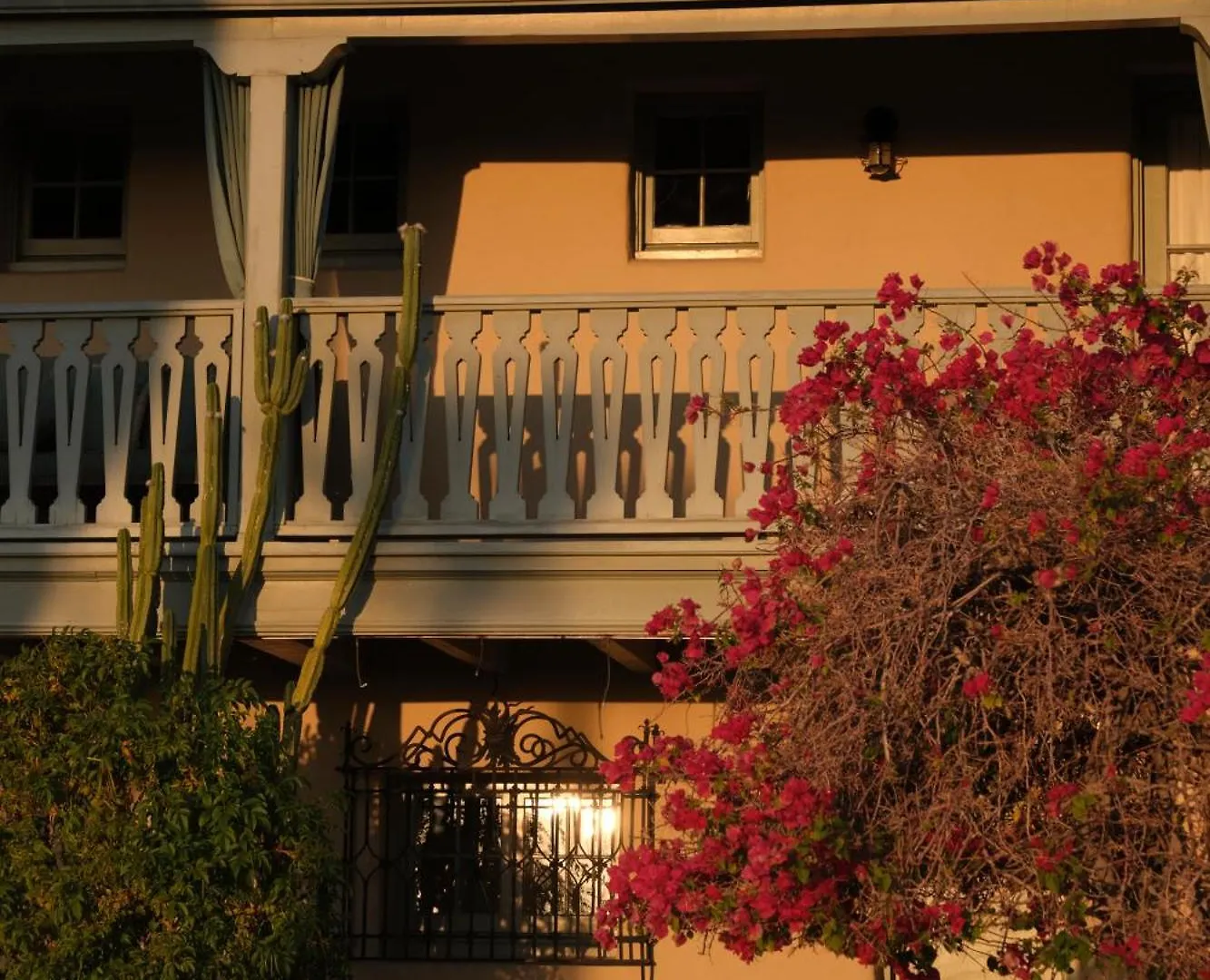 Hotel The Willows Palm Springs