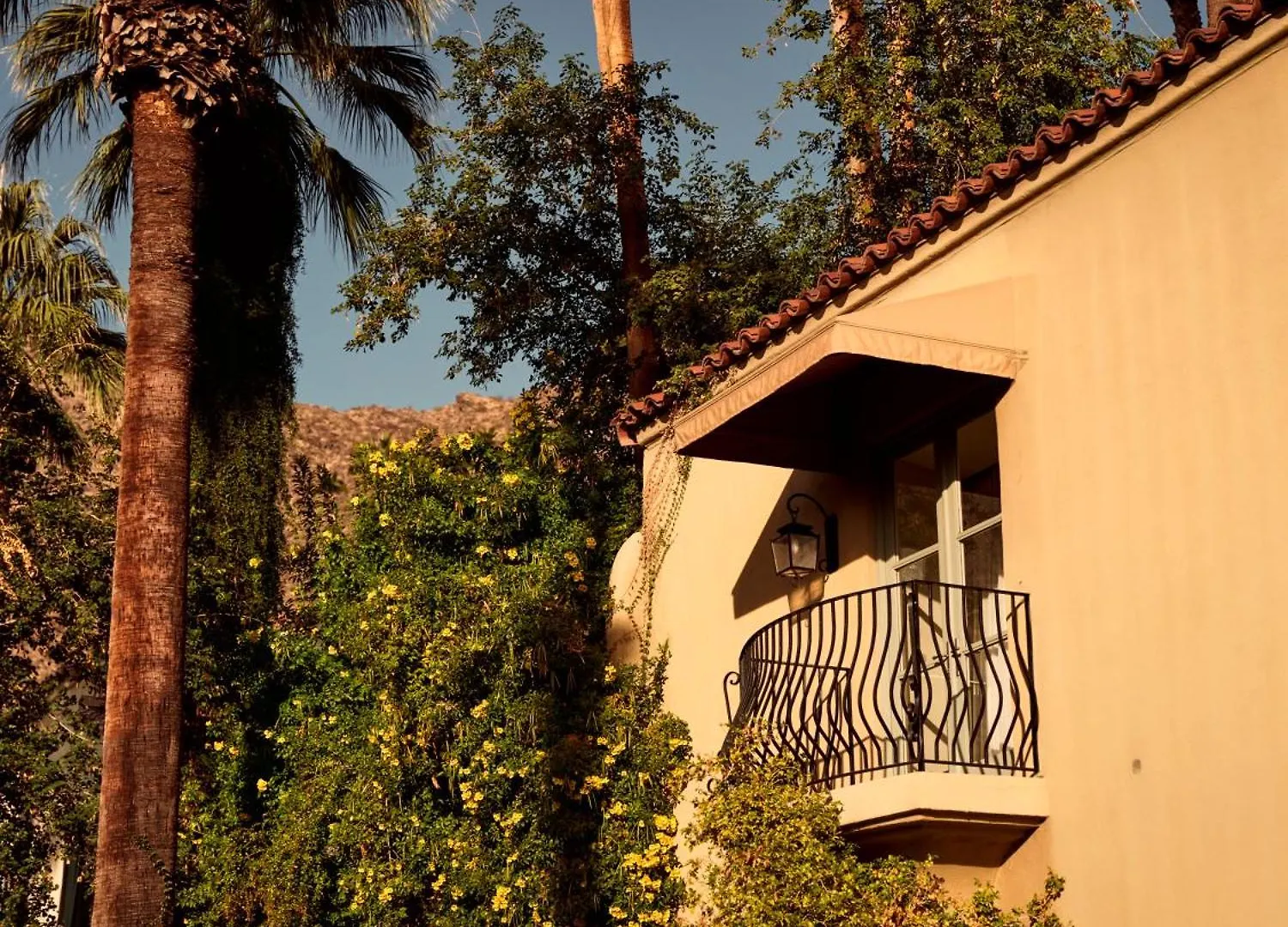 Hotel The Willows Palm Springs