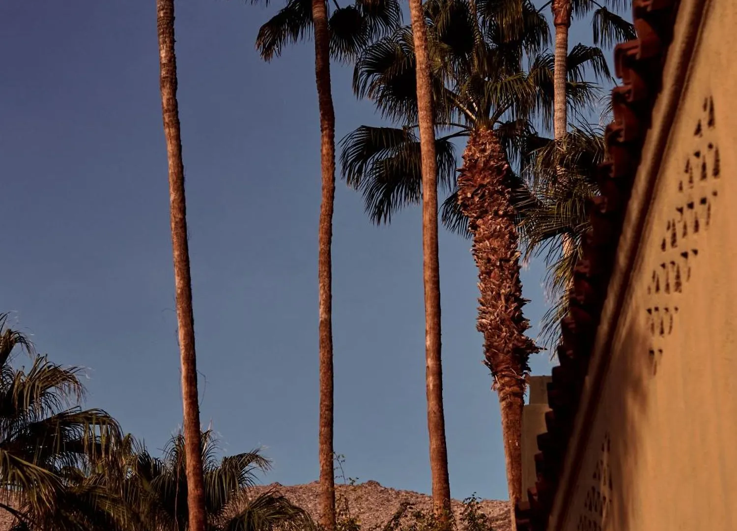 Hotel The Willows Palm Springs