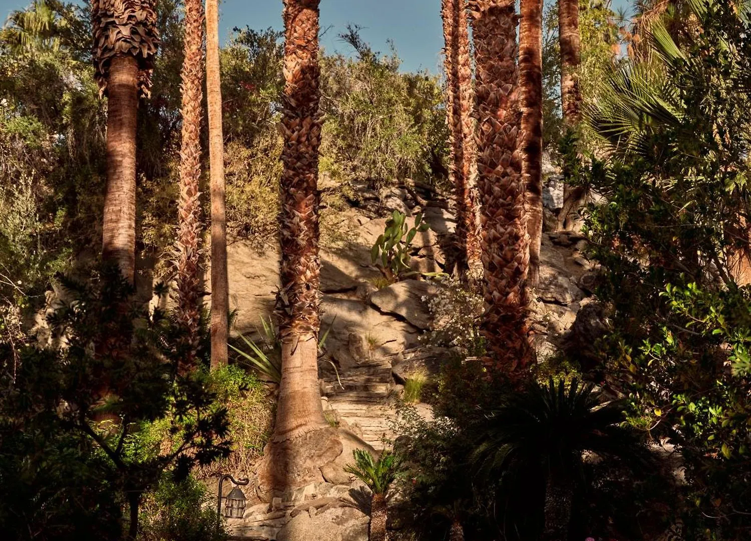 The Willows Palm Springs Estados Unidos da América