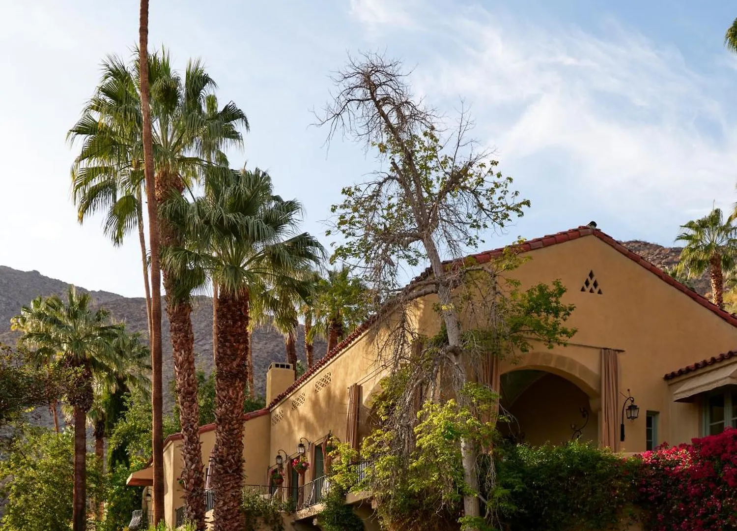 Hotel The Willows Palm Springs