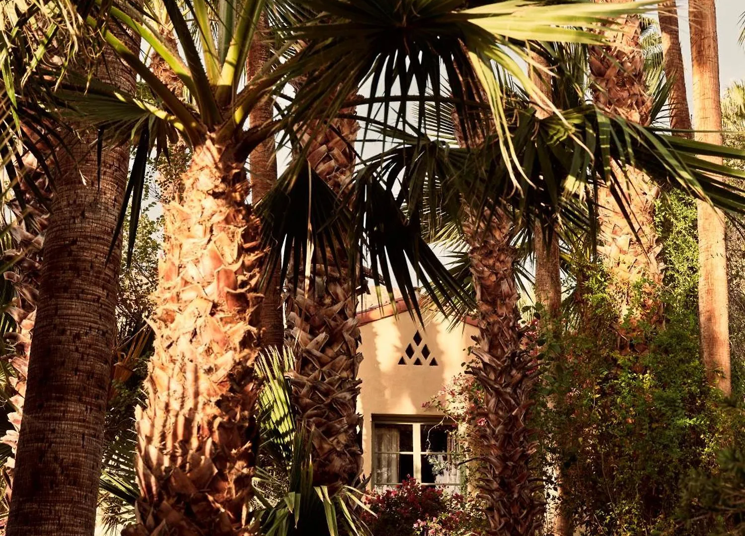 The Willows Palm Springs 4*,