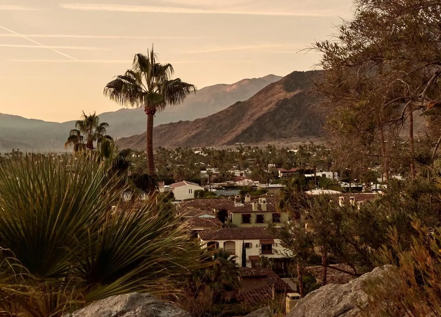 The Willows Palm Springs