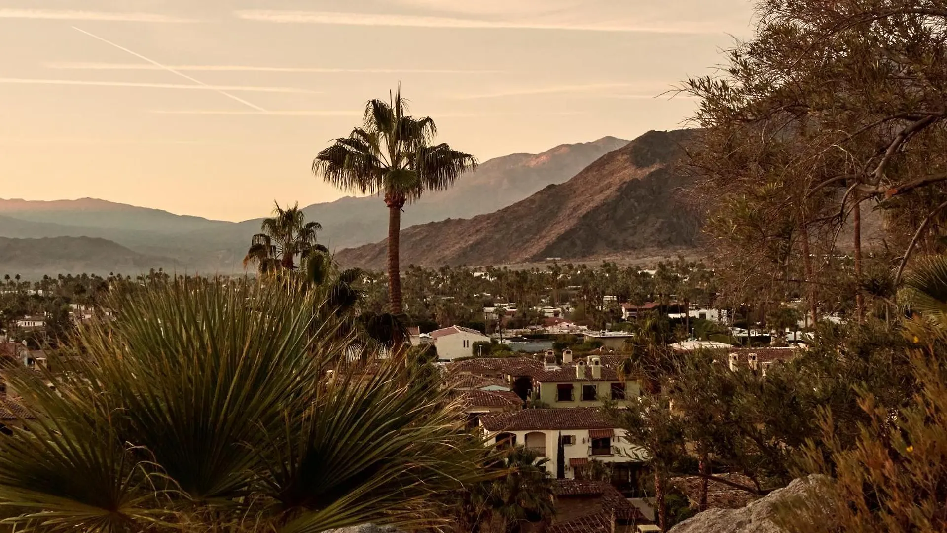 **** Hotel The Willows Palm Springs Stany Zjednoczone Ameryki